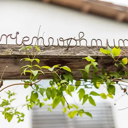Apartment Schambachhof Boetzingen
