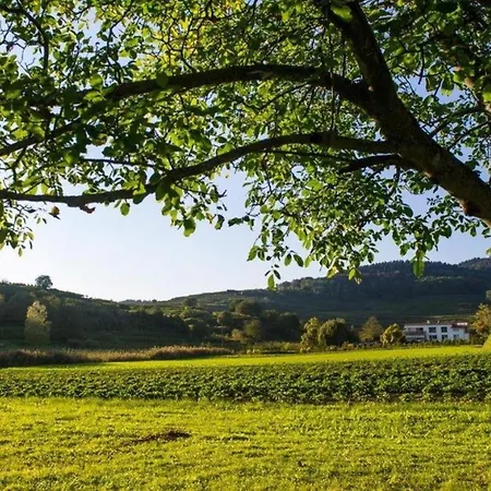 Schambachhof Appartement Boetzingen